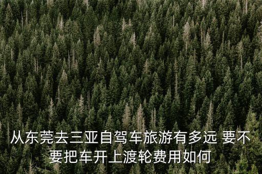 從東莞去三亞自駕車旅游有多遠(yuǎn) 要不要把車開上渡輪費(fèi)用如何
