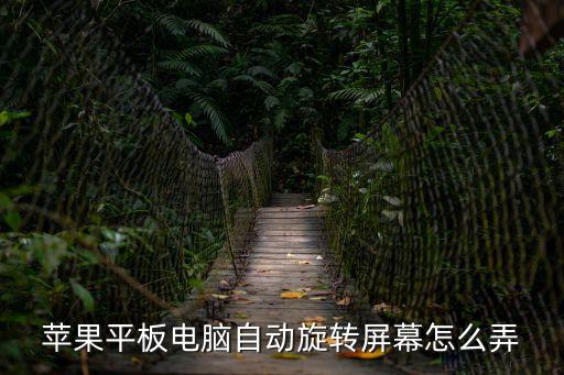 蘋果平板電腦自動旋轉屏幕怎么弄