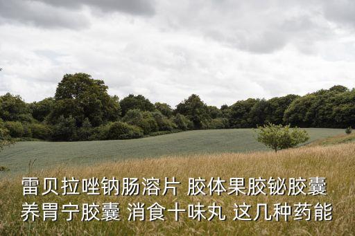 雷貝拉唑鈉腸溶片 膠體果膠鉍膠囊 養(yǎng)胃寧膠囊 消食十味丸 這幾種藥能