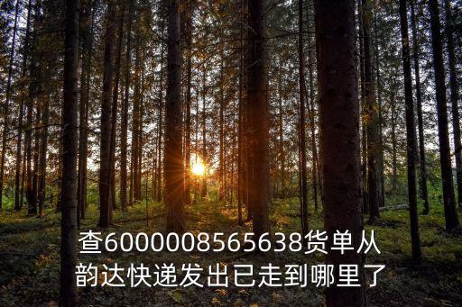 查6000008565638貨單從韻達快遞發出已走到哪里了