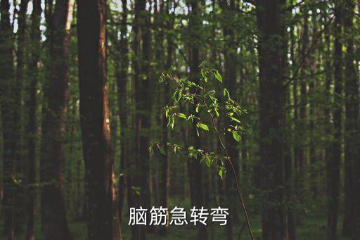 腦筋急轉(zhuǎn)彎兒童，兒童的腦筋急轉(zhuǎn)彎