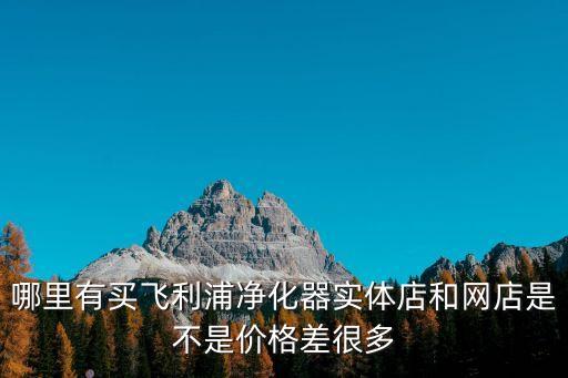 飛利浦凈化器東莞批發(fā)，飛利浦凈化器的貼牌廠家在哪