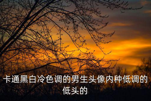 黑白動漫男頭，可不可以給我一張動漫男頭黑白的頭像