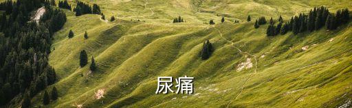 尿疼，尿痛是什么問題