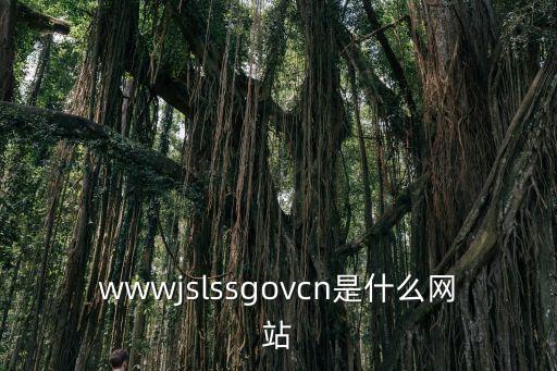 wwwjslssgovcn是什么網站