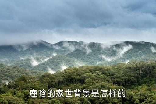 鹿晗家庭背景，鹿晗的家世背景是怎樣的