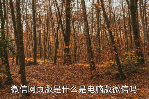 微信網(wǎng)頁(yè)版是什么是電腦版微信嗎