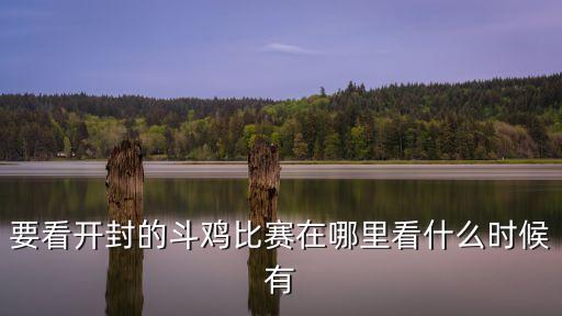 開封斗雞，開封斗雞養殖場是不是騙子