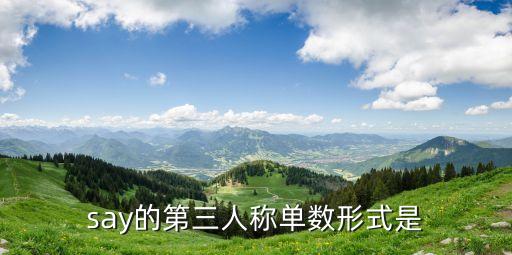 say的第三人稱單數(shù)形式是