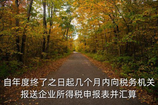 自年度終了之日起幾個月內向稅務機關報送企業所得稅申報表并匯算