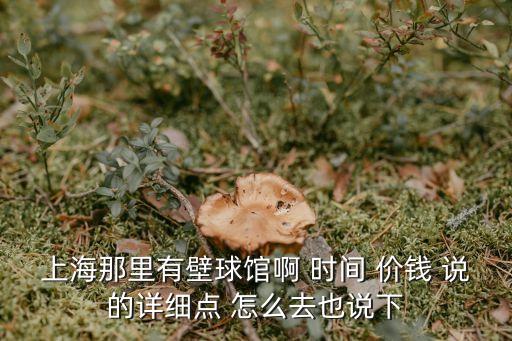上海市羅秀路1173弄，徐匯區羅秀路1175弄郵政編碼
