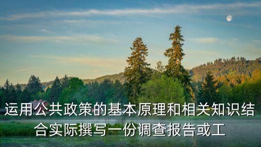 公共政策論文，試論當前如何推進對公共政策的科學評價論文目錄