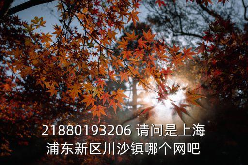 21880193206 請問是上海浦東新區川沙鎮哪個網吧
