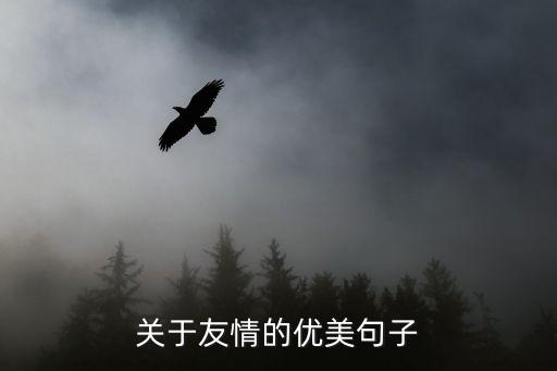 關于友情的優美句子