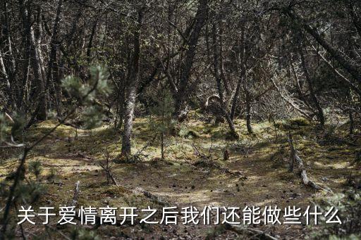 關于愛情離開之后我們還能做些什么