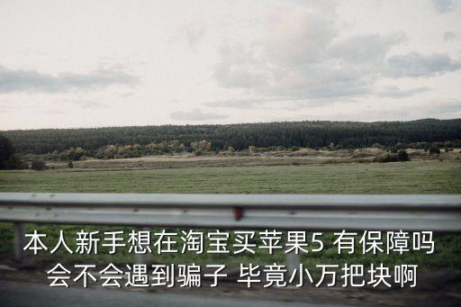 東莞碩動焊板機蘋果5，本人新手想在淘寶買蘋果5 有保障嗎 會不會遇到騙子 畢竟小萬把塊啊