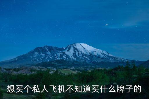 私人飛機(jī)品牌，有錢(qián)人都喜歡買(mǎi)什么牌子的私人飛機(jī)