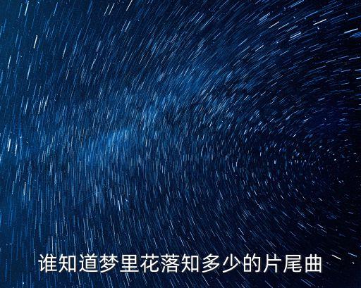 誰知道夢里花落知多少的片尾曲