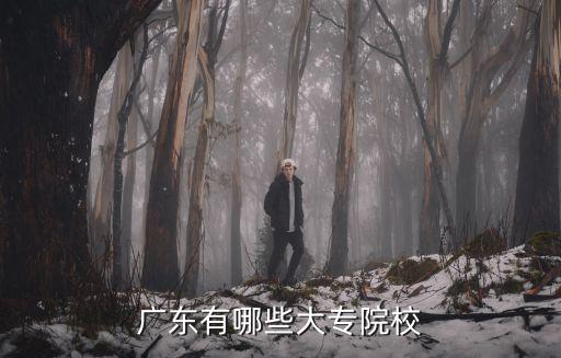 廣東有哪些大專院校