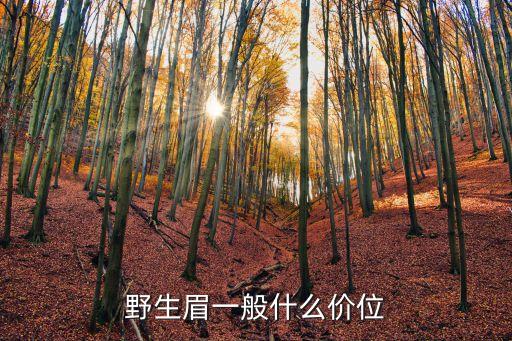 野生眉圖片，面相中男人的眉毛雙層好不好