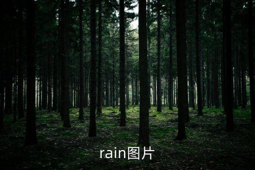 rain圖片
