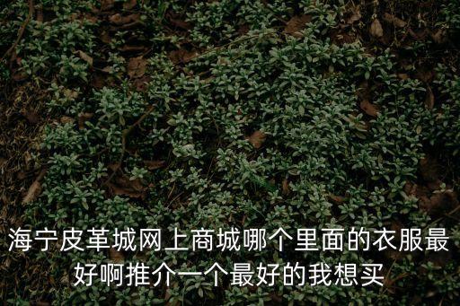 海寧皮革城網(wǎng)上商城，海寧皮革城在網(wǎng)上有店嗎