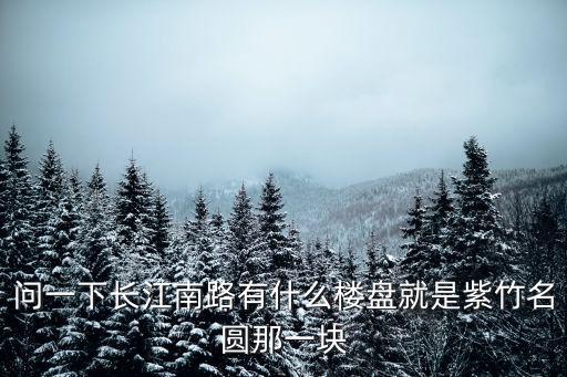 問一下長江南路有什么樓盤就是紫竹名圓那一塊