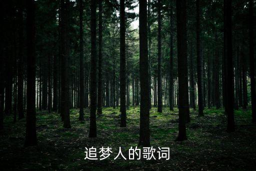追夢人歌詞，求一首舊歌的白話版名字