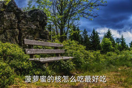 菠蘿蜜的核怎么吃最好吃