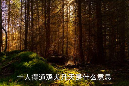 一人得道雞犬升天，一人得道雞犬升天
