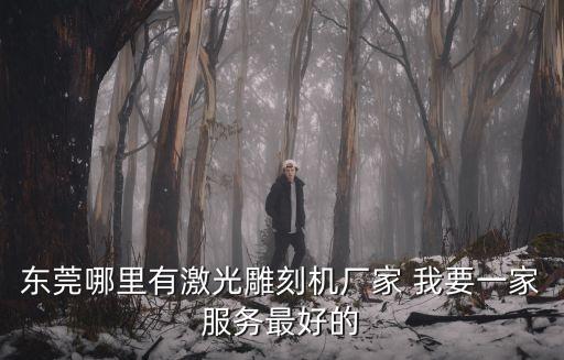 東莞 激光雕刻，東莞哪里有激光雕刻機廠家 我要一家服務(wù)最好的