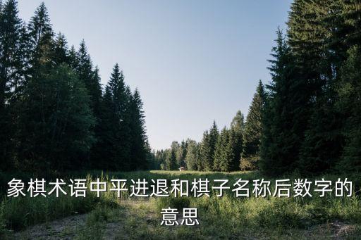象棋術語中平進退和棋子名稱后數字的意思