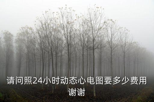 請問照24小時動態(tài)心電圖要多少費(fèi)用謝謝