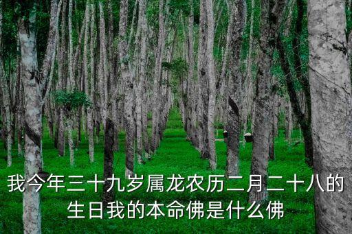 我今年三十九歲屬龍農歷二月二十八的生日我的本命佛是什么佛