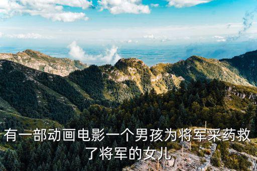 有一部動(dòng)畫電影一個(gè)男孩為將軍采藥救了將軍的女兒