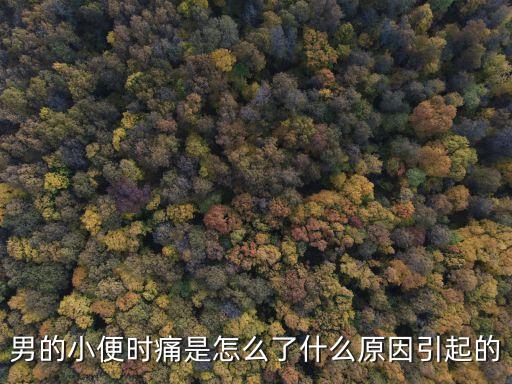 男的小便時痛是怎么了什么原因引起的