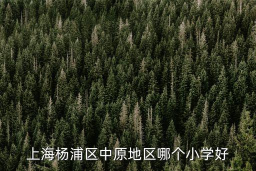 上海市大團(tuán)鎮(zhèn)小學(xué)怎么樣，上海市大場鎮(zhèn)的申華小學(xué)怎么樣現(xiàn)在初中班上前幾名都是申華的