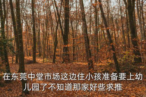 在東莞中堂市場這邊住小孩準備要上幼兒園了不知道那家好些求推
