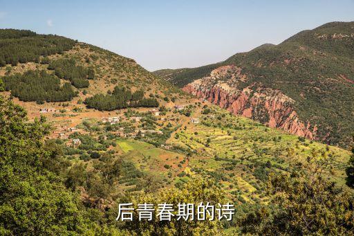 后青春期的詩