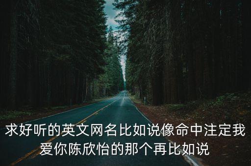 求好聽的英文網名比如說像命中注定我愛你陳欣怡的那個再比如說