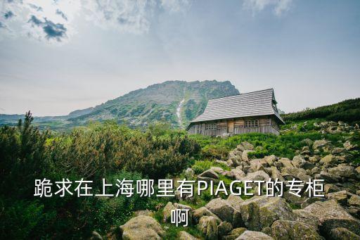 跪求在上海哪里有PIAGET的專柜啊
