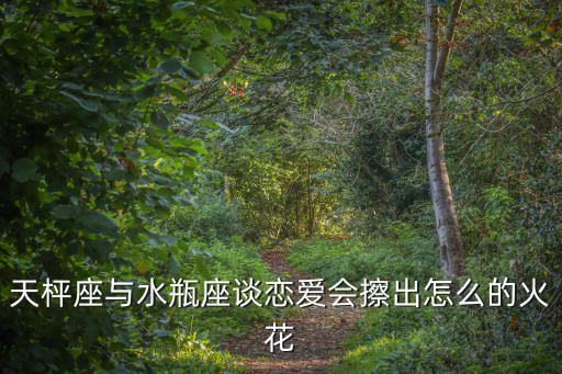 天枰座與水瓶座談戀愛會擦出怎么的火花