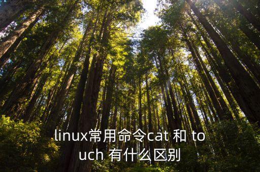 touch命令，linux常用命令cat 和 touch 有什么區別