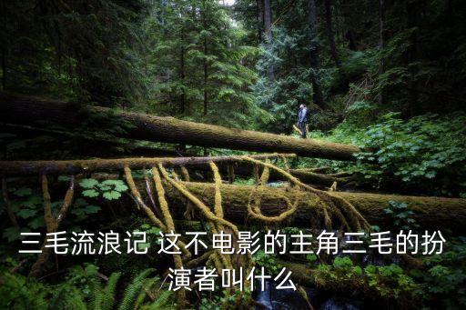 三毛流浪記 這不電影的主角三毛的扮演者叫什么
