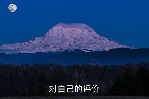 對自己的評價