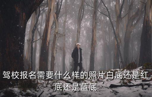 駕校招生圖片，駕校報名帶幾寸照片