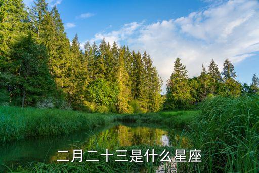 2月23日是什么星座，二月二十三是什么星座