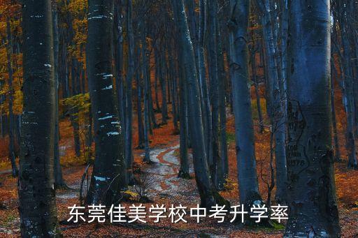 東莞佳美學校中考升學率