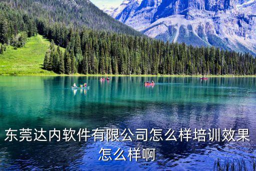 東莞達(dá)內(nèi)軟件有限公司怎么樣培訓(xùn)效果怎么樣啊