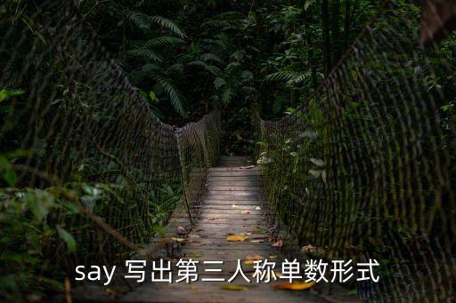 say 寫出第三人稱單數(shù)形式
